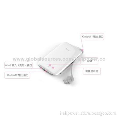Fashionable Portable Power Bank with 12,000mAh Lithium Polymer Cell